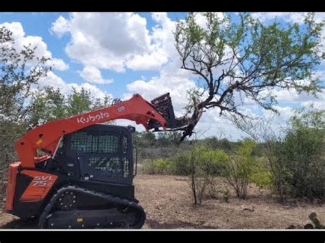 clearing mesquite with a kubota skid steer|kubota skid steer.